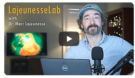 see LajeunesseLab on YouTube